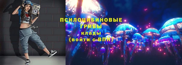 ECSTASY Алзамай