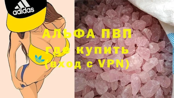 ECSTASY Алзамай