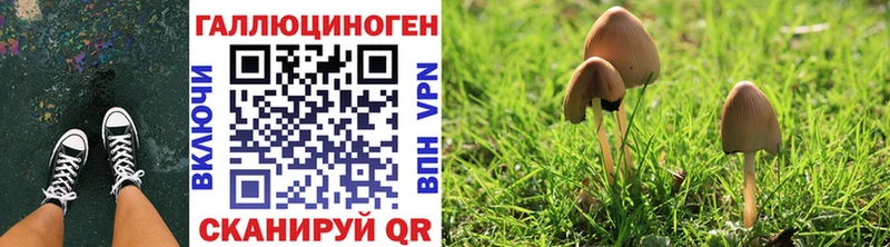 Псилоцибиновые грибы мухоморы  где можно купить   Ковров 