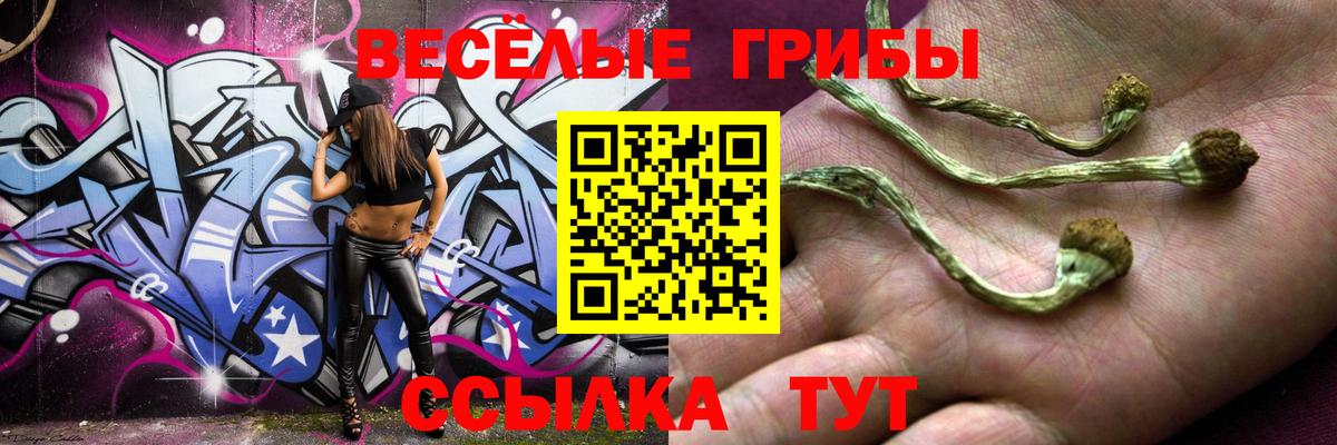 Псилоцибиновые грибы прущие грибы  Галлюциногенные грибы MAGIC MUSHROOMS  Вход с VPN  Ковров 
