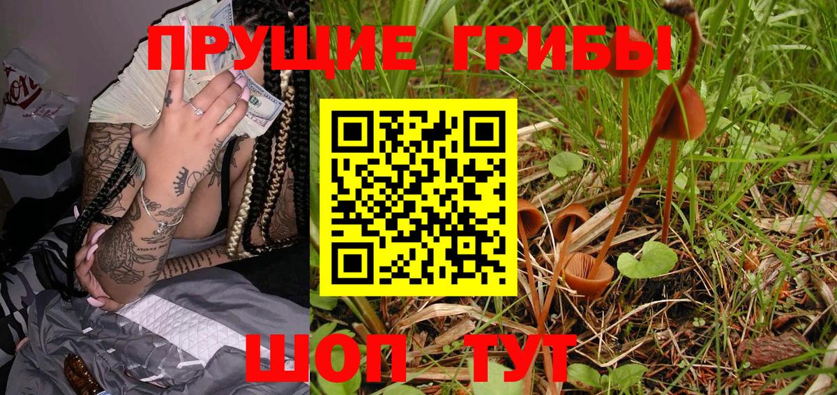 Псилоцибиновые грибы Cubensis Ковров